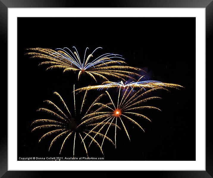 Flower Fireworks Framed Mounted Print by Donna Collett