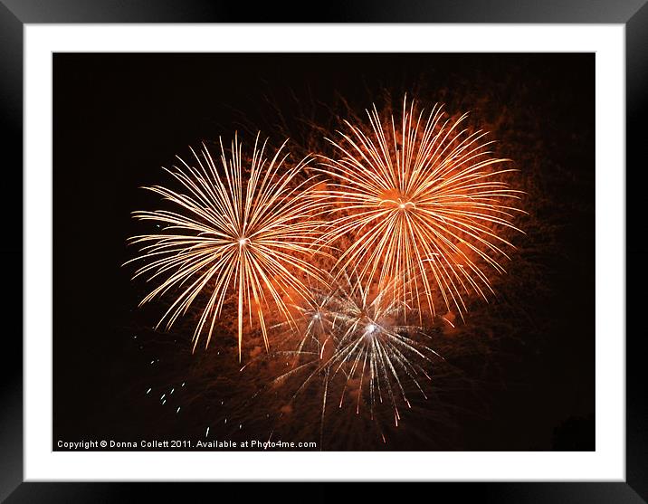 Golden Orange Bursts Framed Mounted Print by Donna Collett