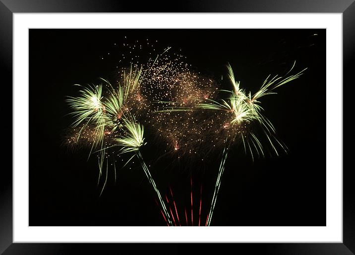 Boom!!! Framed Mounted Print by Donna Collett