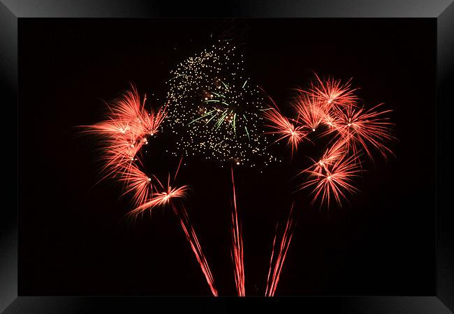 Fireworks Framed Print by Donna Collett
