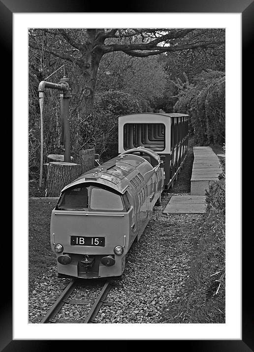 All  Aboard Framed Mounted Print by Donna Collett