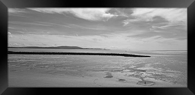 Gower View in Mono Framed Print by Donna Collett