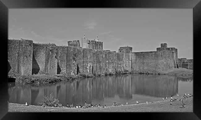 Caerphilly Castle Framed Print by Donna Collett