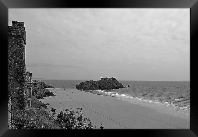 St Caherines Island Framed Print by Donna Collett