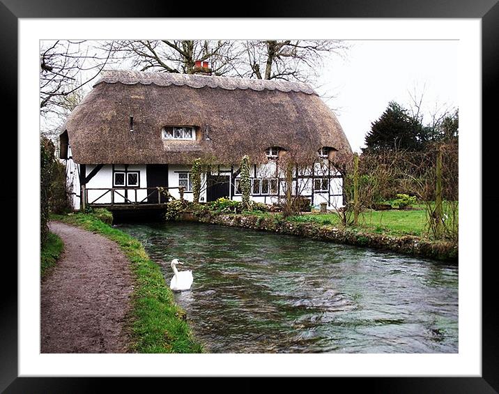 Old Mill Cottage - Alresford, Hampshire Framed Mounted Print by Donna Collett