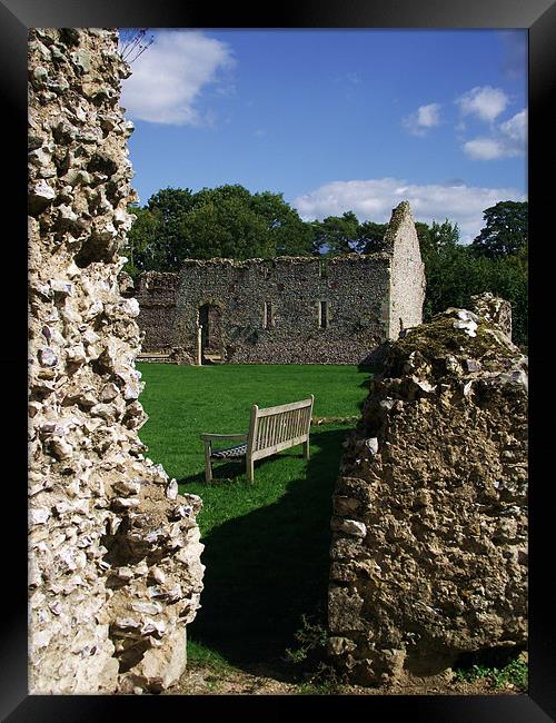 Bishop Waltham Palace - Bench View Framed Print by Donna Collett