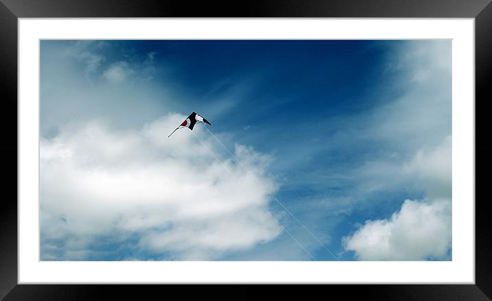 Fly A Kite Framed Mounted Print by Donna Collett