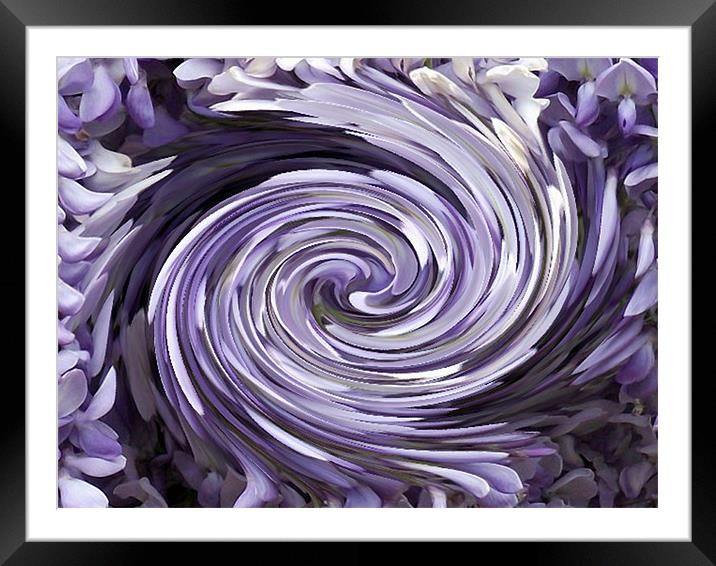 Wisteria Swirl Framed Mounted Print by Donna Collett