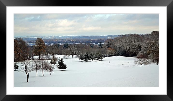 Winter Scene at The Rosebowl Golf Course Framed Mounted Print by Donna Collett