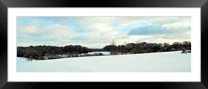 Snow Field Framed Mounted Print by Donna Collett