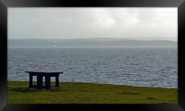 Take a seat Framed Print by Donna Collett