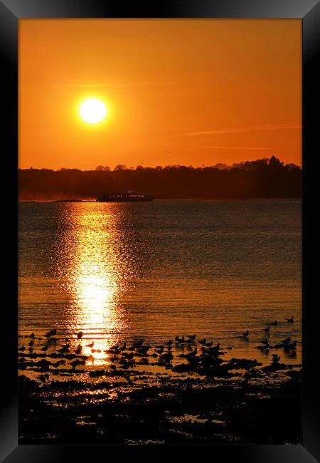 Hydrofoil Sunset Framed Print by Donna Collett