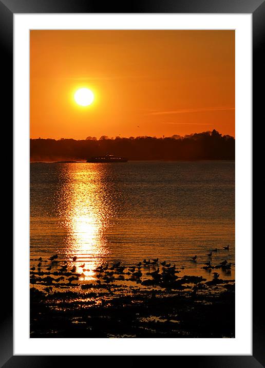 Hydrofoil Sunset Framed Mounted Print by Donna Collett