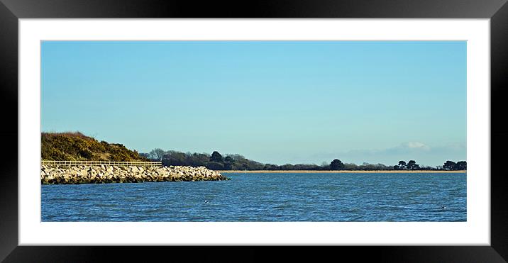 Hamble Point Framed Mounted Print by Donna Collett