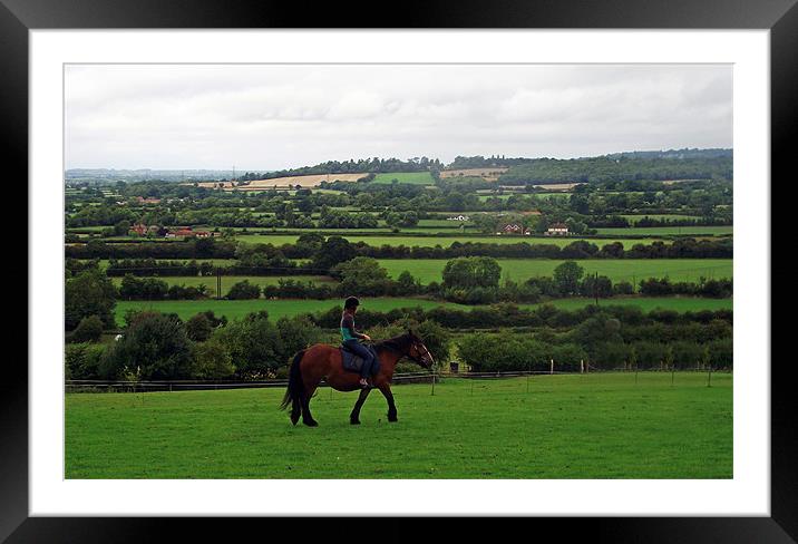 Horse & Rider Framed Mounted Print by Donna Collett