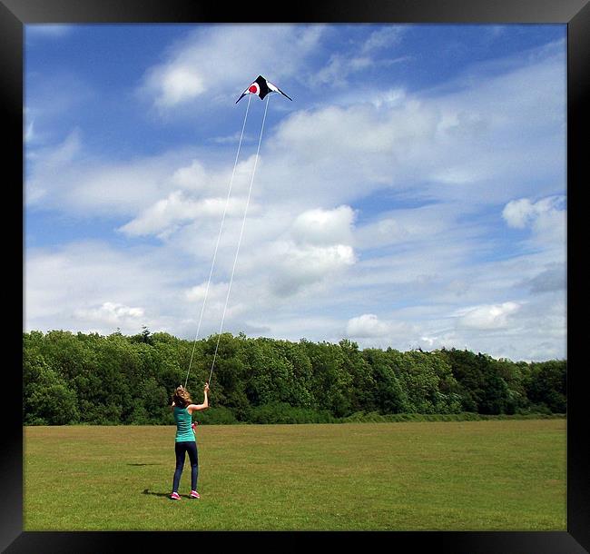 Lets go fly a kite!!!!!!!!! Framed Print by Donna Collett