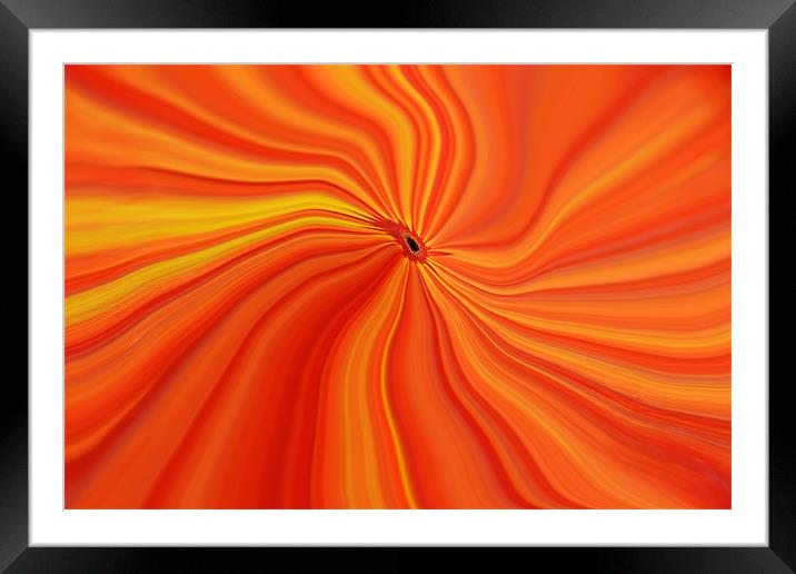 Orange Abstract Framed Mounted Print by Donna Collett