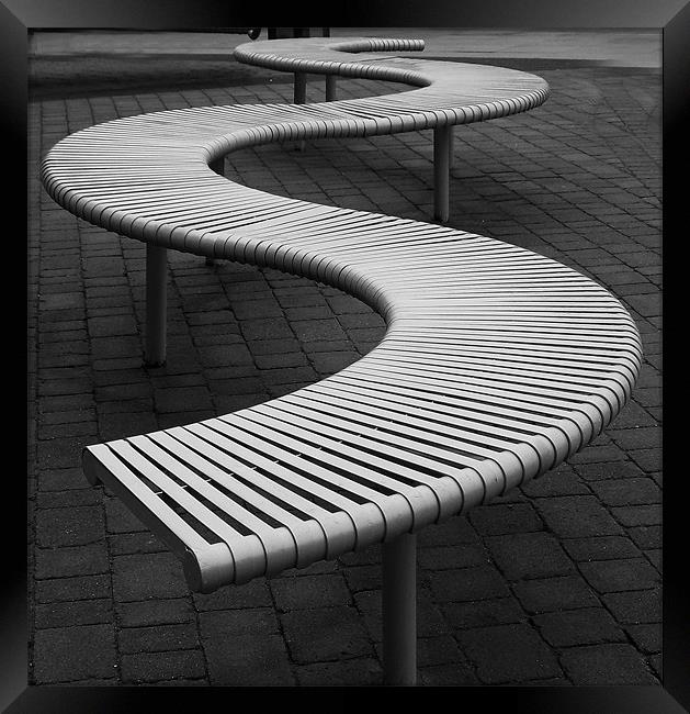 Funky Bench..15th Feb 2011 Framed Print by Donna Collett