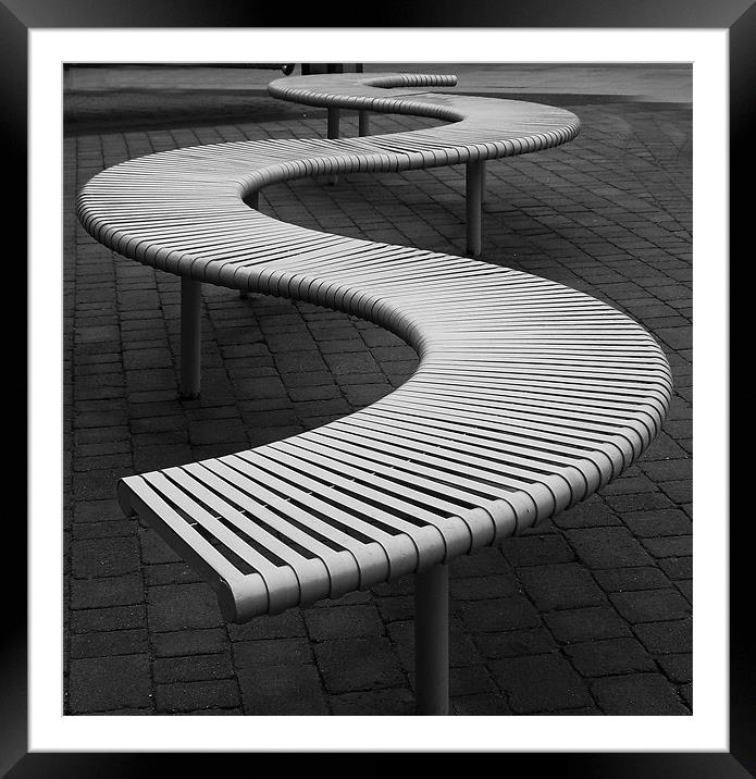 Funky Bench..15th Feb 2011 Framed Mounted Print by Donna Collett