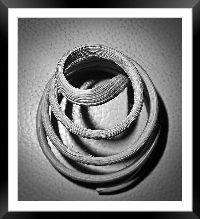 Wood Spiral Framed Mounted Print by Donna Collett
