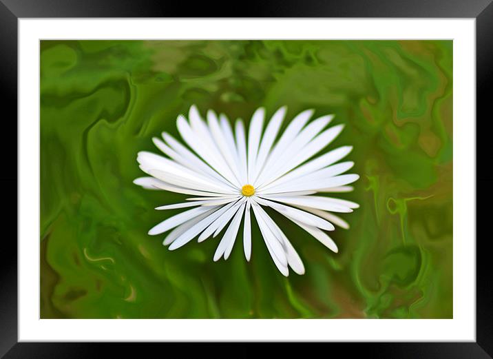 Marble Zoom Framed Mounted Print by Donna Collett