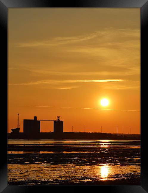 Dockyard Sunset Framed Print by Donna Collett
