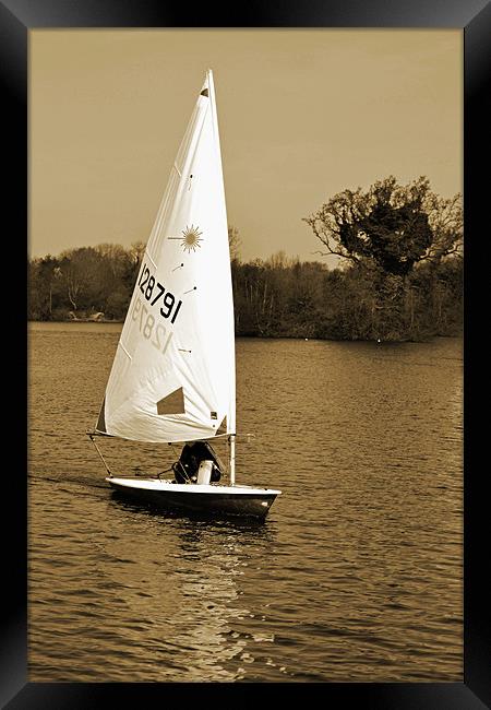 Sailboat Framed Print by Donna Collett