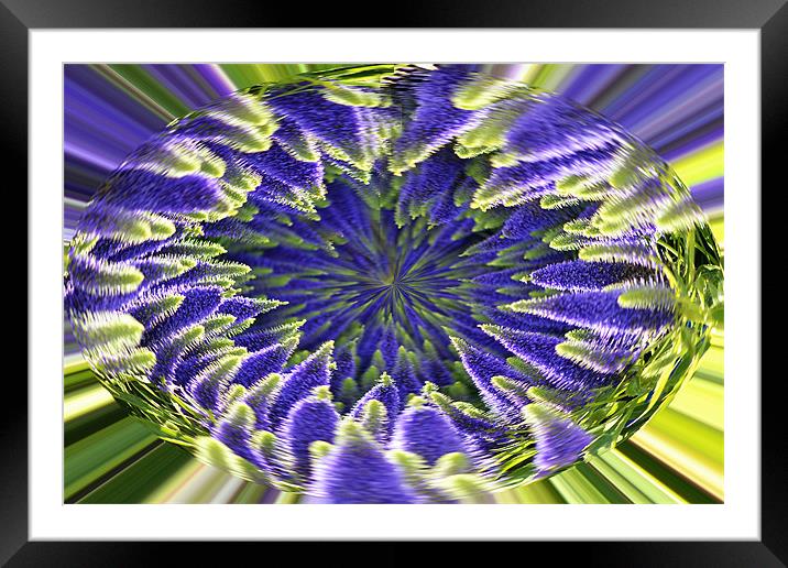 Veronica Abstract Framed Mounted Print by Donna Collett