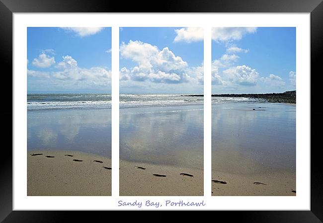 Sandy Bay Triptych Framed Print by Donna Collett