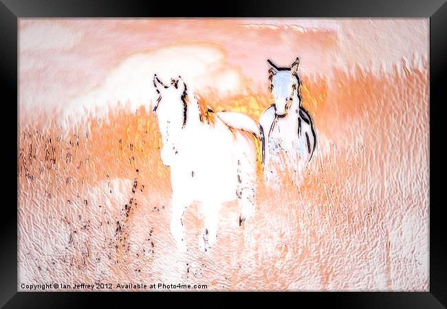 Running Free Framed Print by Ian Jeffrey