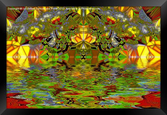 Butterfly Kaleidoscope Framed Print by Ian Jeffrey