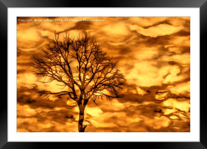 Autumn Colours Framed Mounted Print by Ian Jeffrey