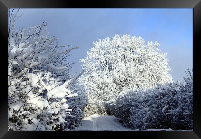 Winter scene Framed Print by Ian Jeffrey