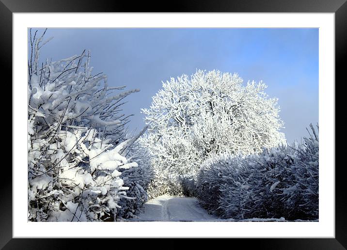 Winter scene Framed Mounted Print by Ian Jeffrey