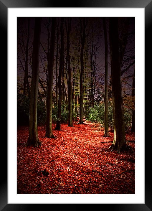 Autumn Carpet Framed Mounted Print by Ian Jeffrey