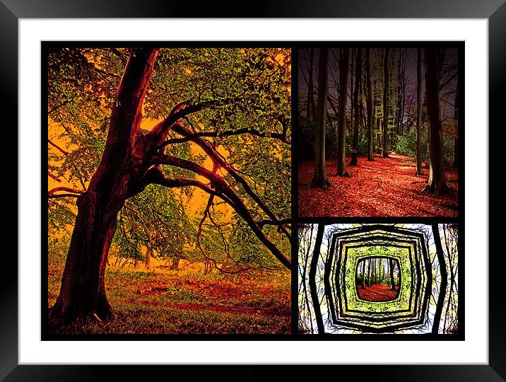 Autumn Collage Framed Mounted Print by Ian Jeffrey