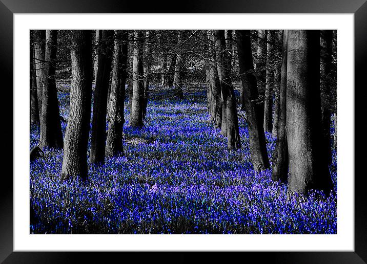 Blue Framed Mounted Print by Ian Jeffrey