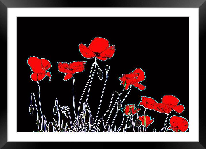 Neon Poppies Framed Mounted Print by Ian Jeffrey