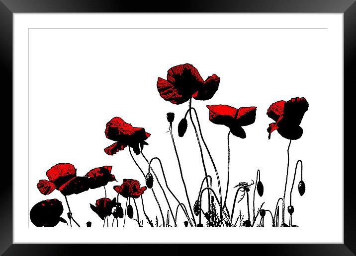 Painted Poppies Framed Mounted Print by Ian Jeffrey