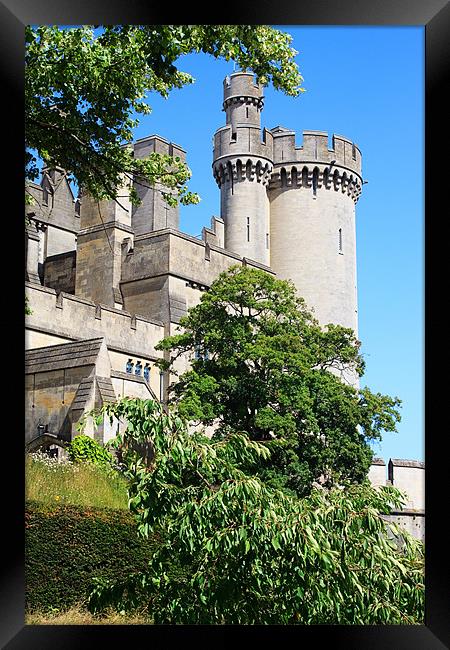 Arundel Castle and Grounds Framed Print by Ian Jeffrey