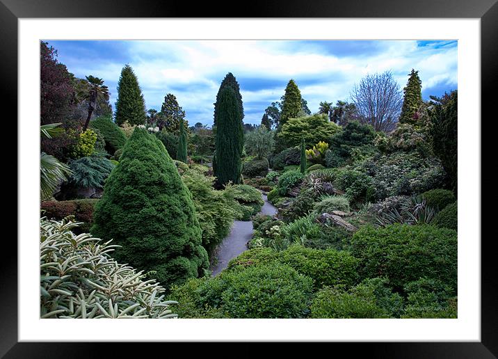 Garden Walk Framed Mounted Print by Nigel Coomber