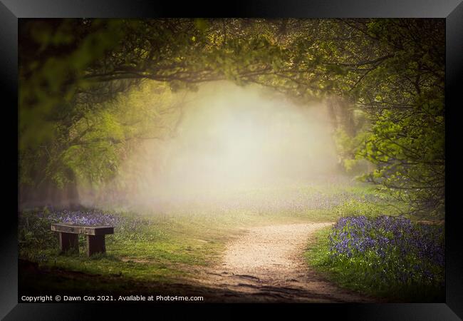 The Bluebell Glade Framed Print by Dawn Cox