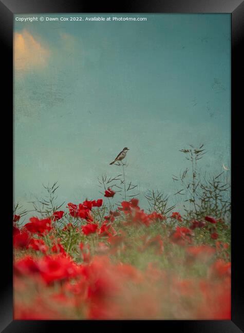  Bird in Poppies  Framed Print by Dawn Cox