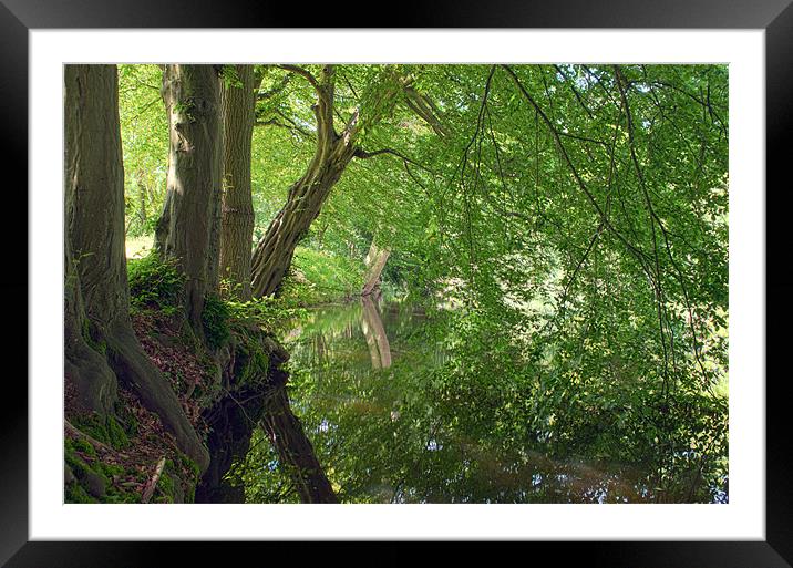 A time for Reflection Framed Mounted Print by Dawn Cox