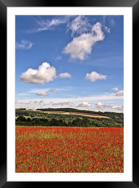 Eynsford Poppy Field Framed Mounted Print by Dawn Cox
