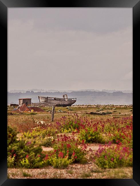 Stranded at Dungeness Framed Print by Dawn Cox