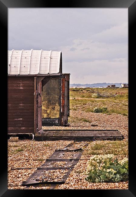 Old Boat shed Framed Print by Dawn Cox