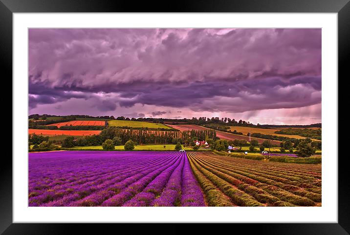 Harvest Time Framed Mounted Print by Dawn Cox