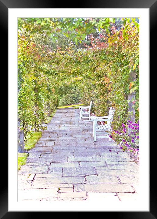 English Country Garden Framed Mounted Print by Dawn Cox