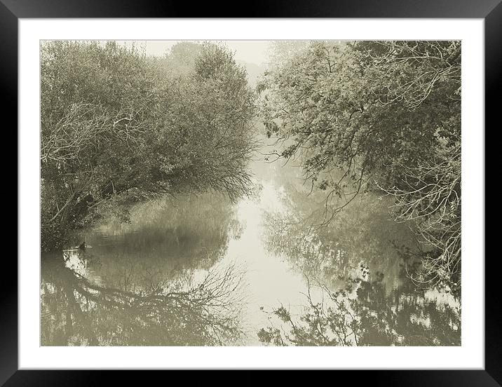 Tranquil Framed Mounted Print by Dawn Cox